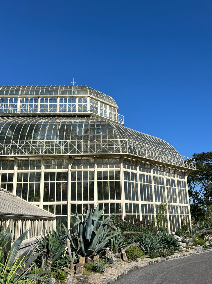 Dublin botanic gardens